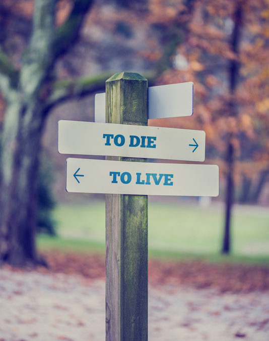 The Right-To-Die Now Allowed in California: What Would You Choose?